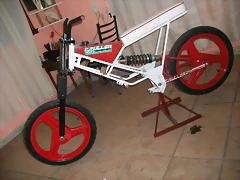 tomando forma