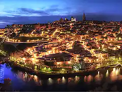 TOLEDO A VISTA DE PAJARO 2