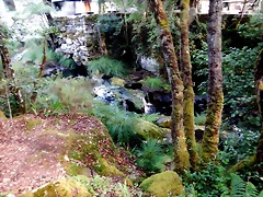 DSCN8424