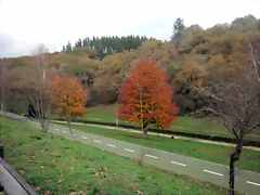DSCN1785 DSCN1785
