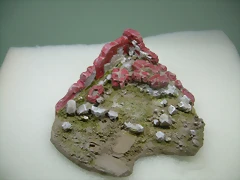 DSCN2194 DSCN2194