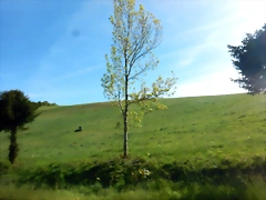 DSCN2054