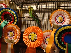 concurso Naquera 014
