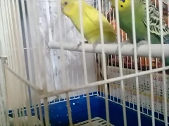 20190101_192250