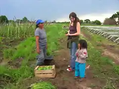 bolivianos-en-arg