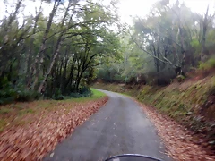 DSCN3021 DSCN3021