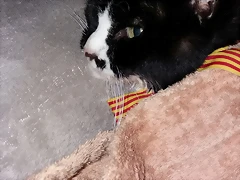OSCA EN LAS ULTIMAS OSCA EN LAS ULTIMAS