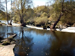 DSCN1059 DSCN1059