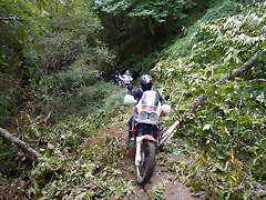 DSCN9814 DSCN9814