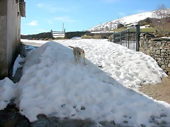 DSCN8702 DSCN8702