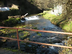 DSCN2339 DSCN2339