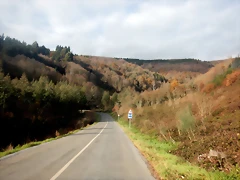 DSCN2299