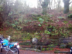 DSCN4683 DSCN4683