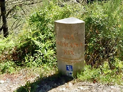 DSCN0015 DSCN0015
