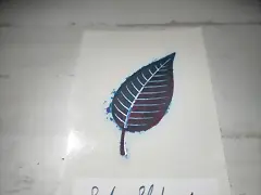 sailor_shikiori-yamadori