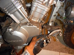 DSCN1374 DSCN1374