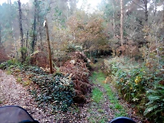 DSCN0727 DSCN0727