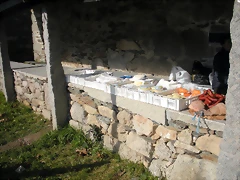 DSCN2470 DSCN2470