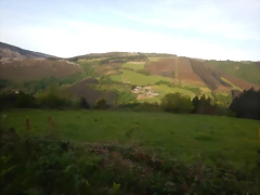 DSCN2150 DSCN2150