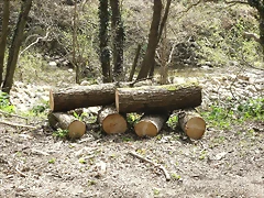 R0012400 R0012400