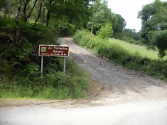 DSCN2742 DSCN2742