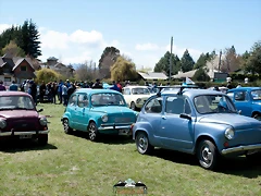 CAS_3691 CAS_3691