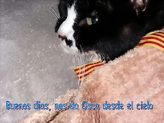 BUENOS DIAS DESDE EL CIELO, NO DA OSCA