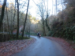IMG_0210 IMG_0210