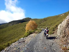DSCN1377 DSCN1377