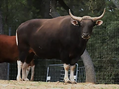 Zoo Lunaret + Sigean 18 i 19-09-10 334 Zoo Lunaret + Sigean 18 i 19-09-10 334