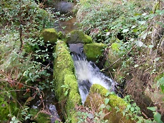 DSCN5761 DSCN5761