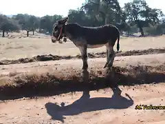 20, tomando el sol, marca