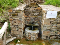 DSCN8991 DSCN8991