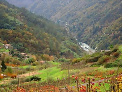 81-IMG_3962 81-IMG_3962