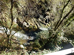 DSCN0227