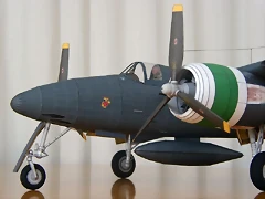 Tigercat-D02 Tigercat-D02