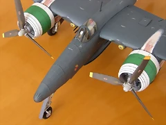Tigercat-D03 Tigercat-D03