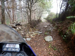 DSCN6821 DSCN6821