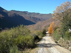 DSCN6889 DSCN6889