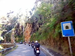 DSCN2950 DSCN2950