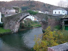 DSCN4917 DSCN4917