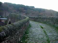 DSCN4915 DSCN4915