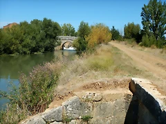DSCN8125 DSCN8125