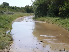 IMGP5984 IMGP5984