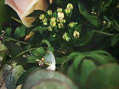 Mar?a IG Stories 13-4-2018 (4) Mar?a IG Stories 13-4-2018 (4)