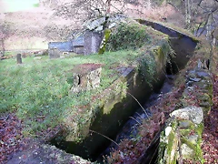 DSCN7316