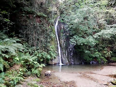 DSCN0914 DSCN0914