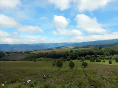 DSCN1411 DSCN1411