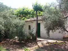 01, cortijo de julio, marca