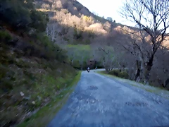 DSCN9090 DSCN9090